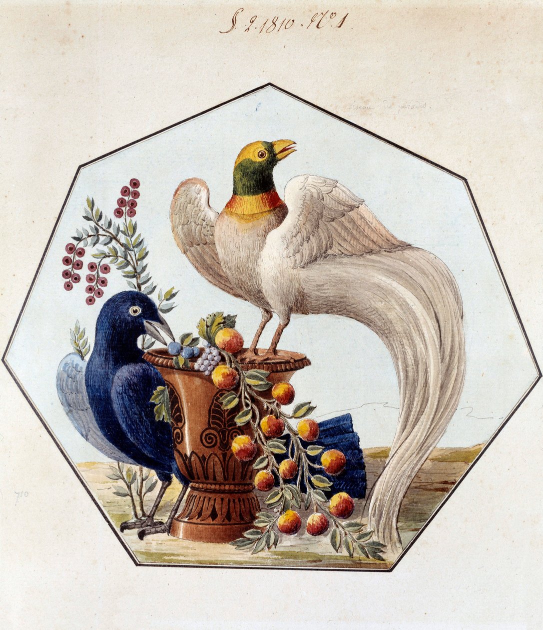 Prosjekt for fuglebordet i porselen av Alexandre Brongniart (1770-1847). 1810 Sevres, arkiver fra Manufacture de Sevres av French School