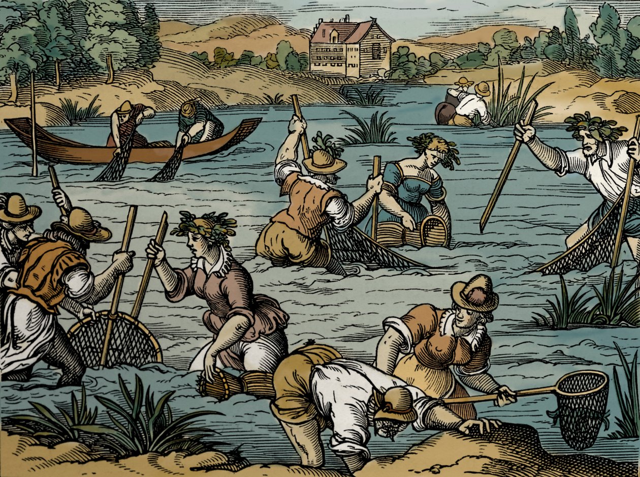 Elvefiske, fra 1584 (gravering) av French School