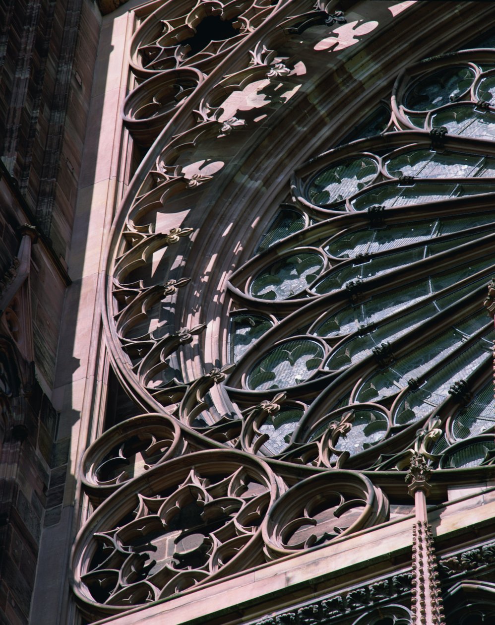 Rose vindu detalj av French School