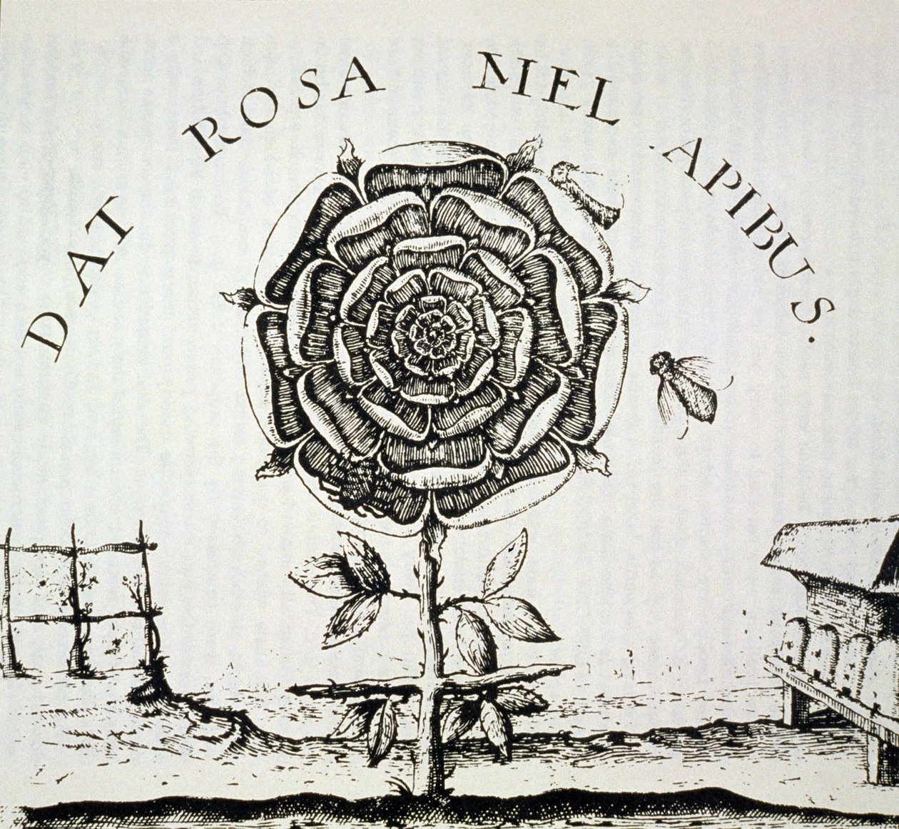 Rosicrucian Allegory, kopi av en gravering av Johann Theodore de Bry (ca. 1598), brukt i en History of Magic, utgitt sent på 1800-tallet av French School