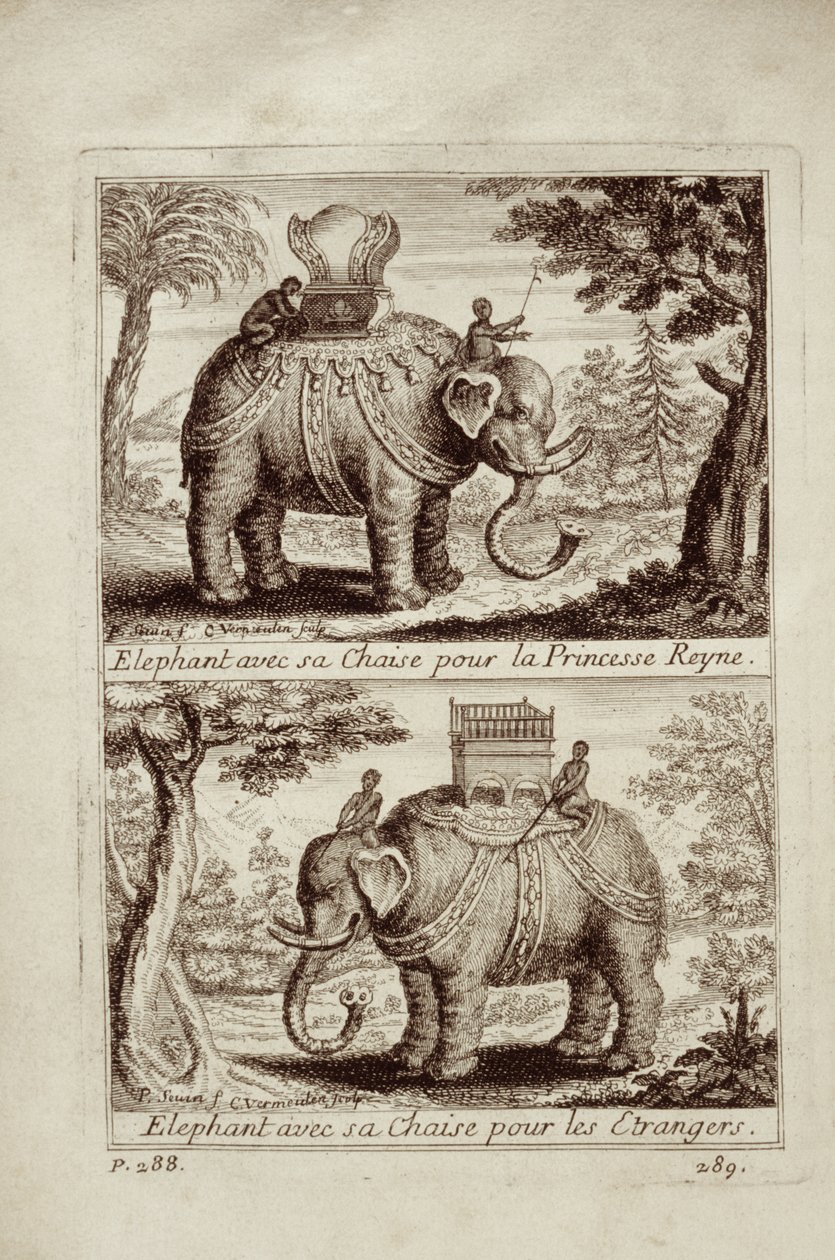 Kongelige elefanter, fra Voyage du Siam des Peres Jesuites av Guy Tachard, 1688 av French School