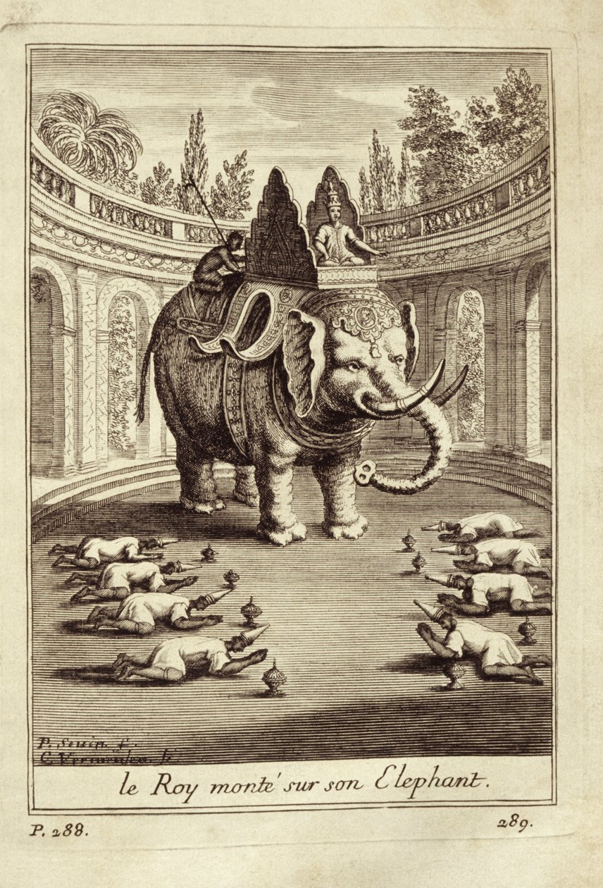 Kongelige elefanter, fra Voyage du Siam des Peres Jesuites av Guy Tachard, 1688 av French School