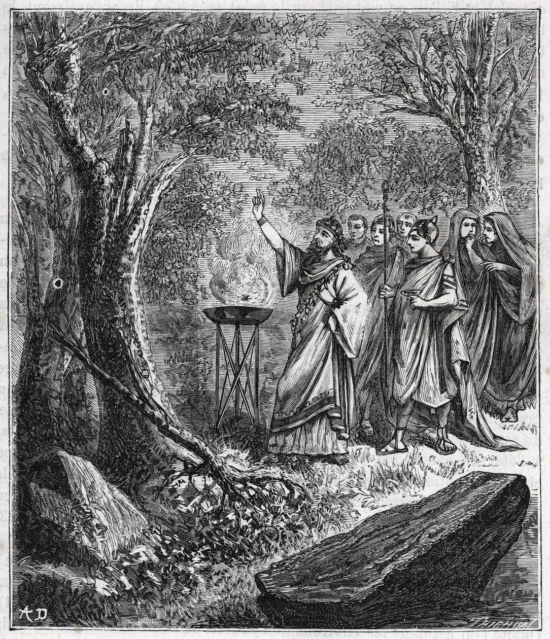 STRUFERTARI (fest i det gamle Roma for å rense de sprengte trærne) - Gravering i "" Vitenskaper brakt til forståelse av alle - populær fysikk og kjemi"" av Alexis Clerc - Slutten av 1800-tallet. Privat samling. av French School