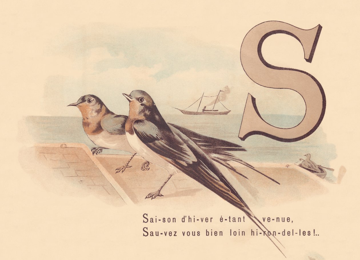 S: Vintersesongen har kommet, Redd deg selv langt borte svaler! av French School