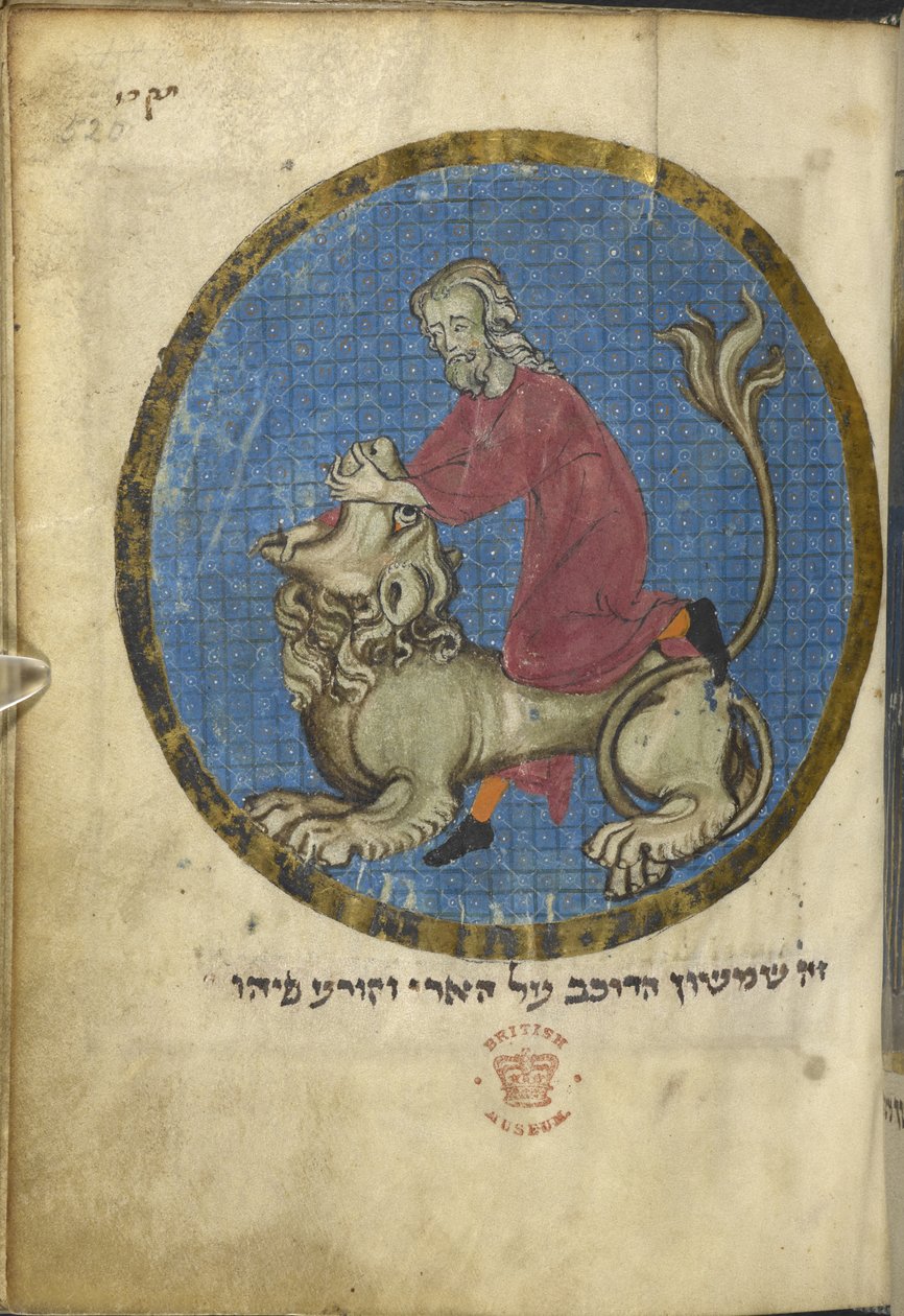 Samson og løven, fra Nordfransk Miscellany, ca. 1280 (vellum) av French School