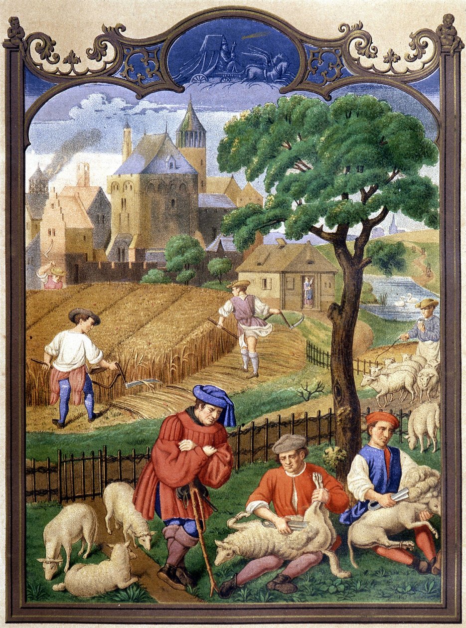 Saueskjæring og høsting - miniatyr, middelalder. av French School