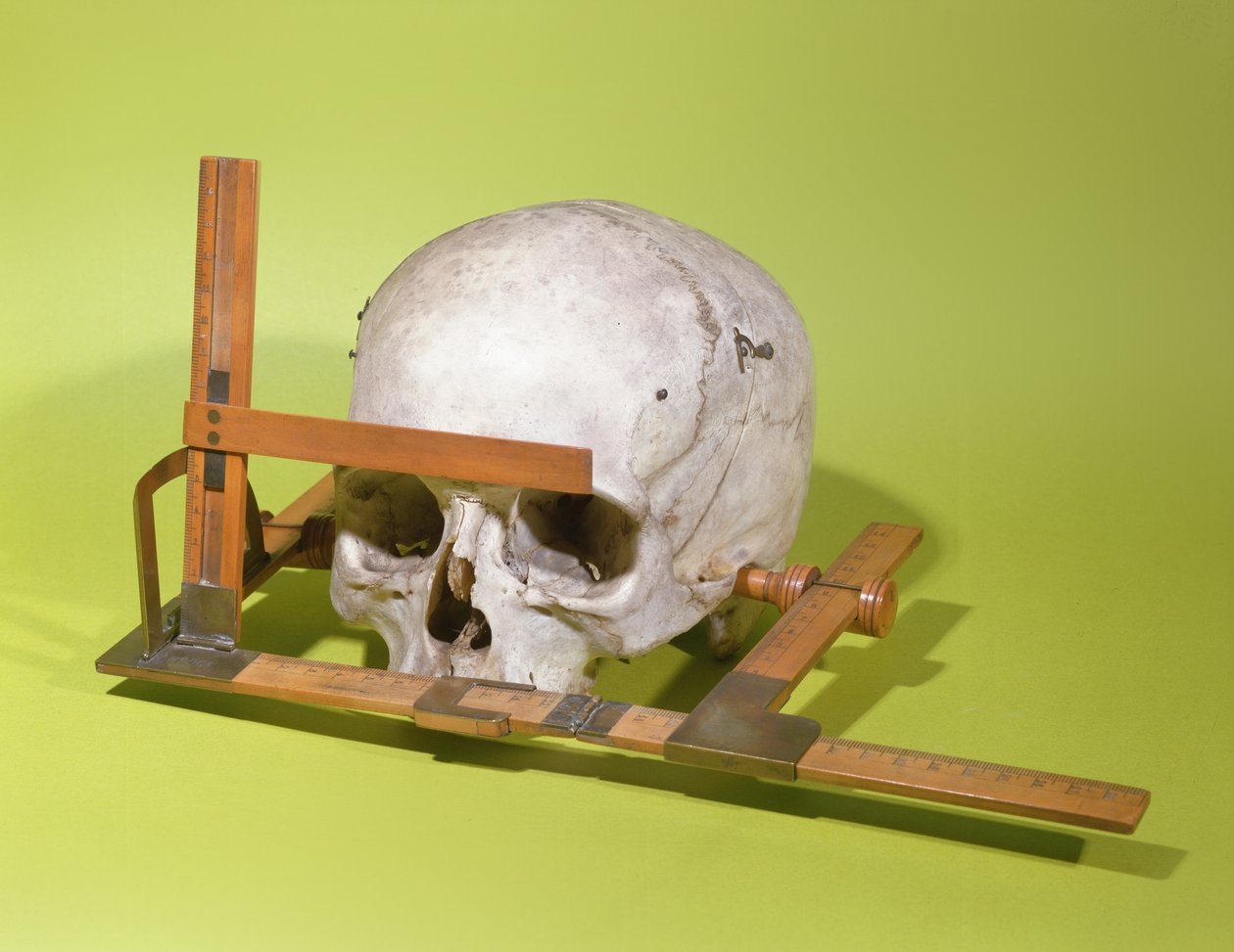 Hodeskalle i en ansiktsgoniometer konstruert av Paul Broca (1824-88) (tre og kobber) av French School