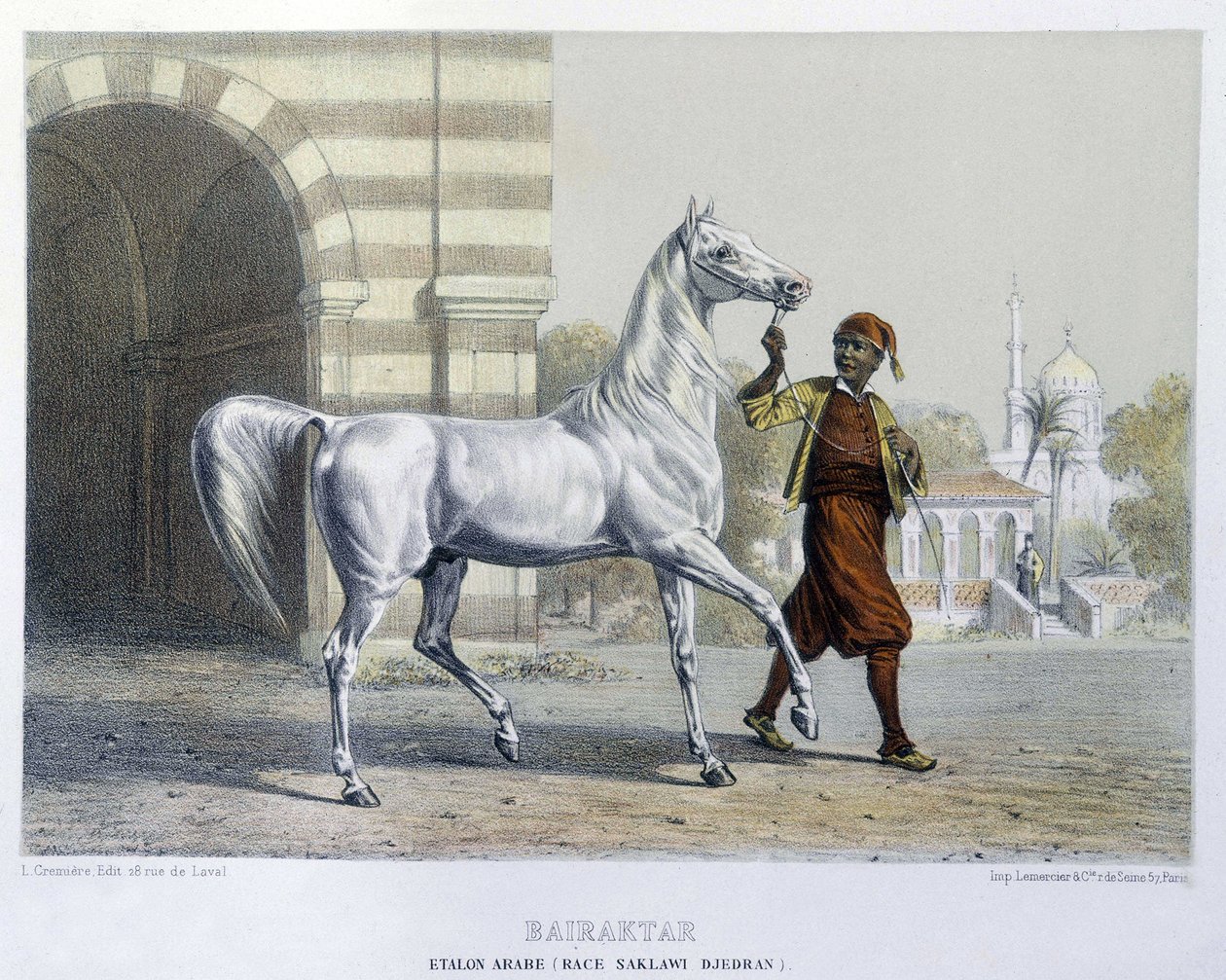 Stalon arabisk, Bairaktar av French School