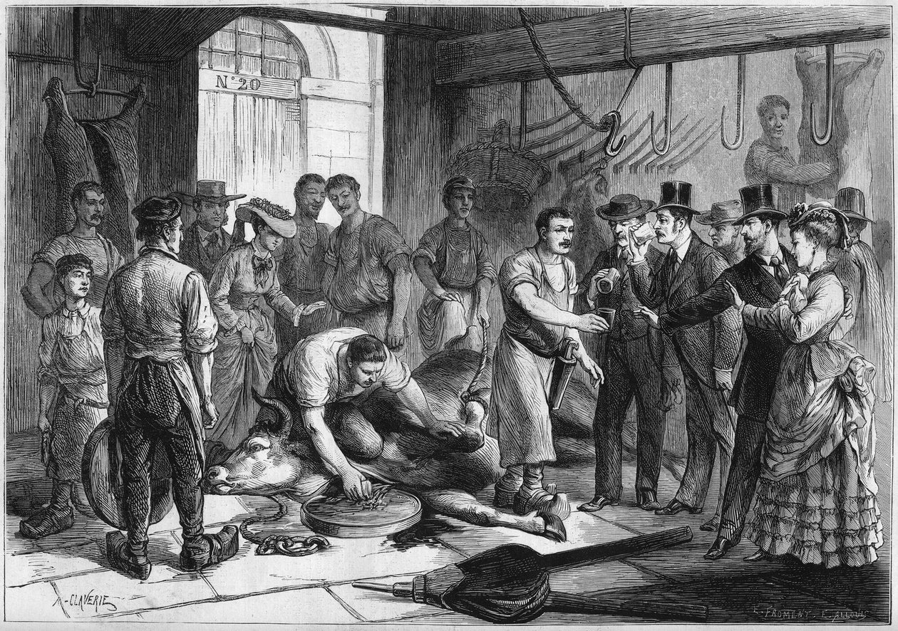 Superstition: “” blood drinkers at the abattoir de la Villette in Paris””. Sick Parisians come to drink the blood of a freshly slaughtered beef, and hope to find a cure for their problems. A butcher collects the blood of the bete in a glass. Engraving in “ av French School
