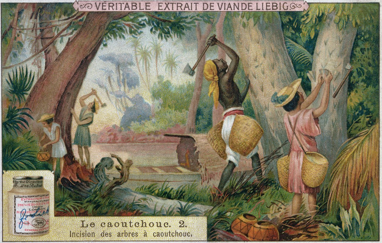 Tapping gummitrær, salgsfremmende reklamekort for Veritable Extrait de Viande Liebig, slutten av 1800-tallet av French School