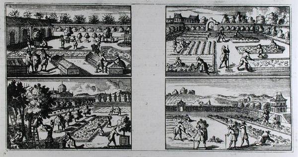 Tending a garden, fra 