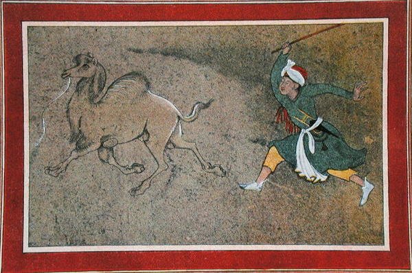 The Angry Camel Driver, illustrasjon fra 