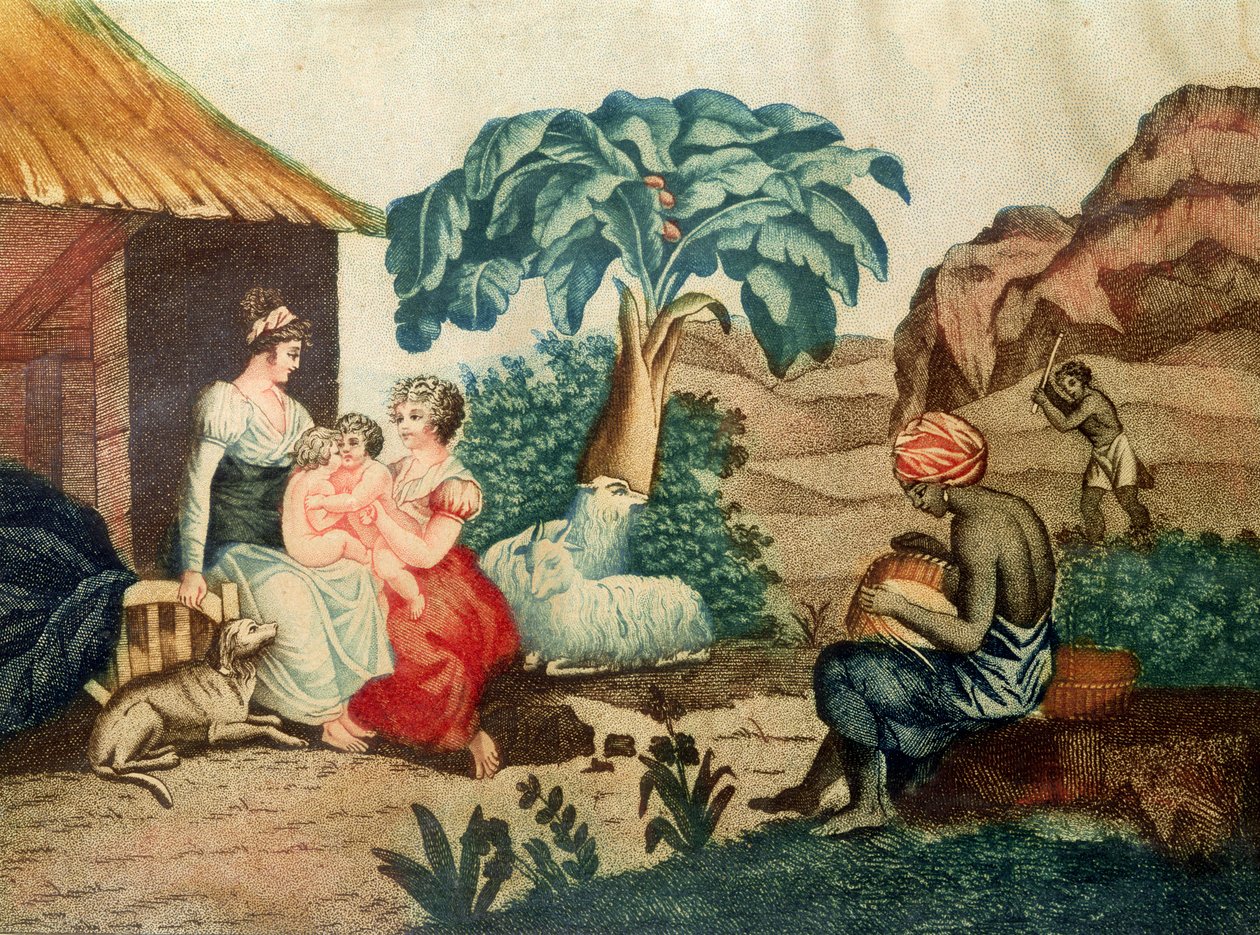 The Childhood of Paul and Virginie, fra 