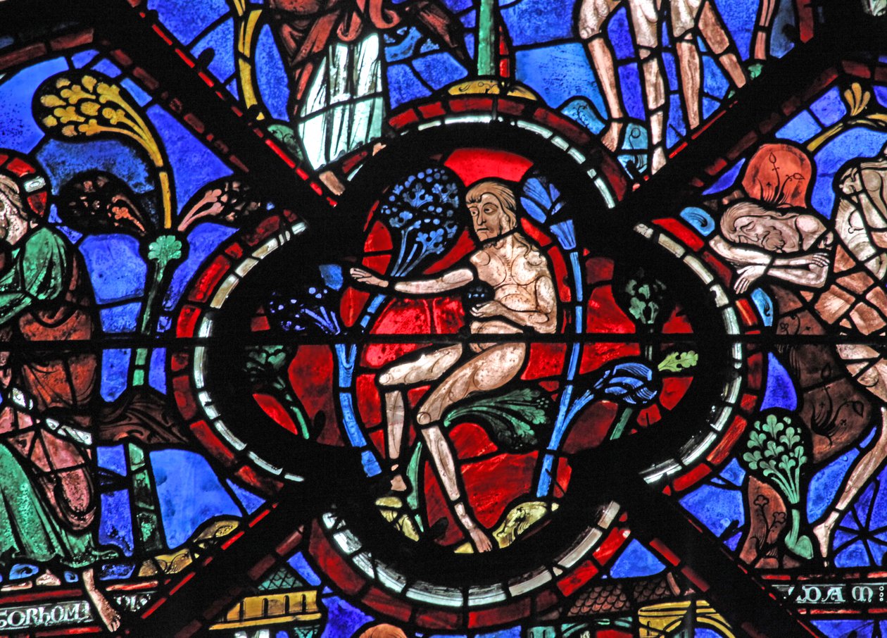 Det barmhjertige samaritanske vinduet: Adam i Edens hage (w44) av French School
