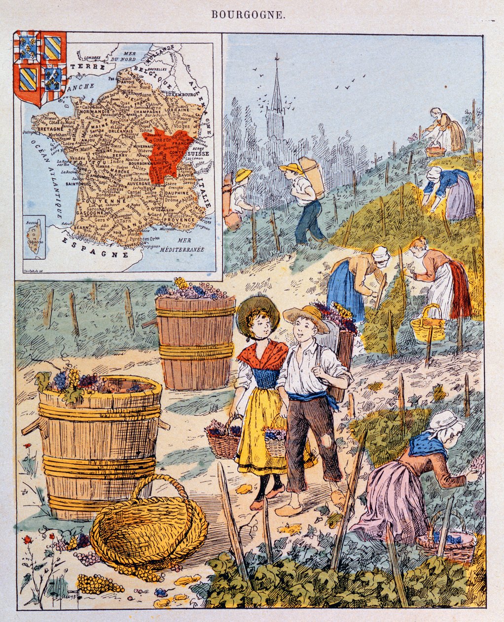 Druehøsten i Burgund, illustrasjon fra en skolebok, ca. 1910 av French School