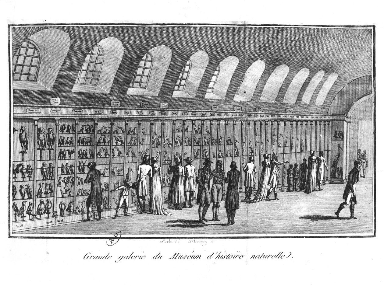 Det store galleriet til naturhistorisk museum i Paris av French School