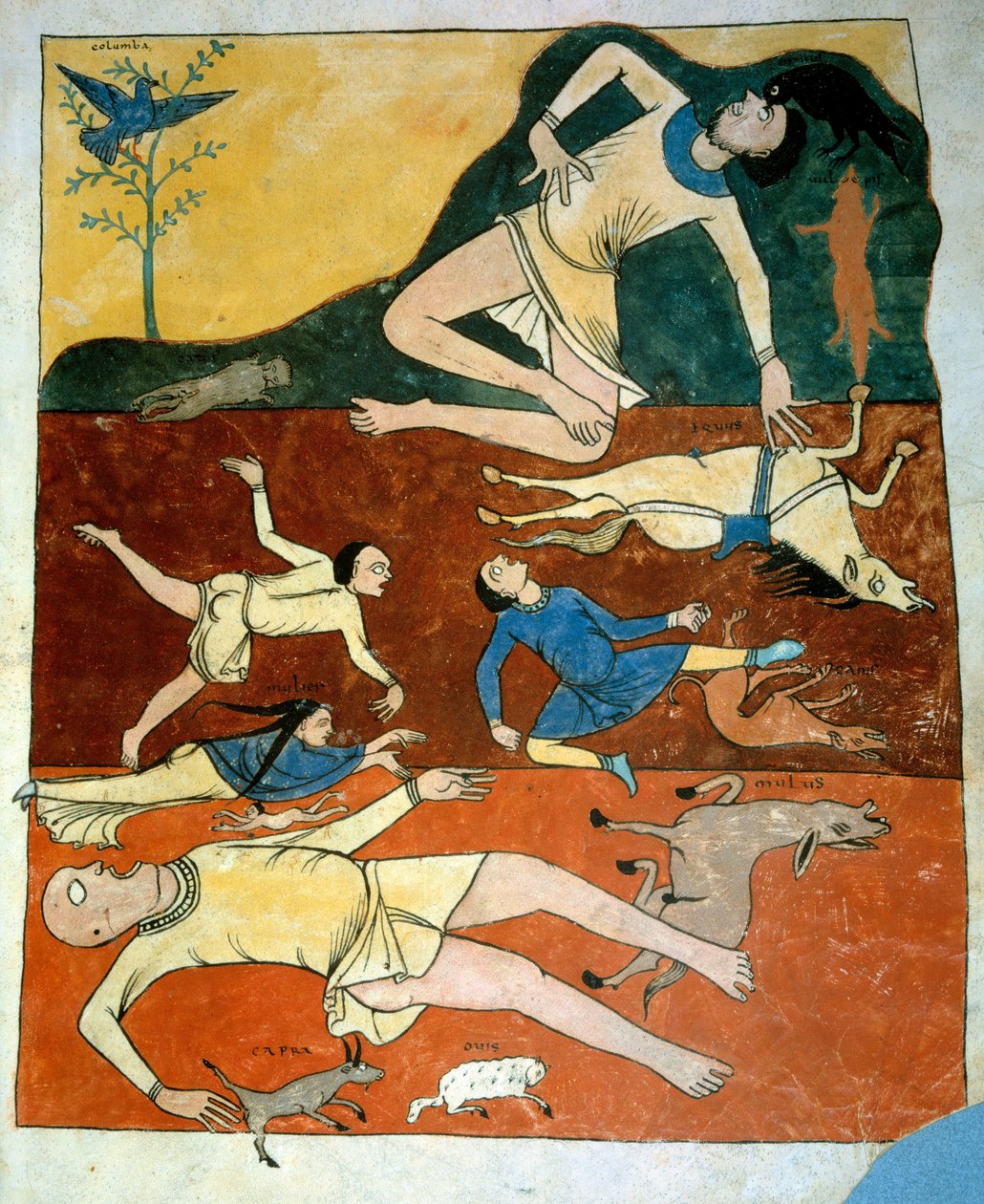 Miniature Universal Deluge hentet fra kommentarene til "The Apocalypse ifølge Saint John" skrevet i 775 av munken Beatus av Liebana av French School