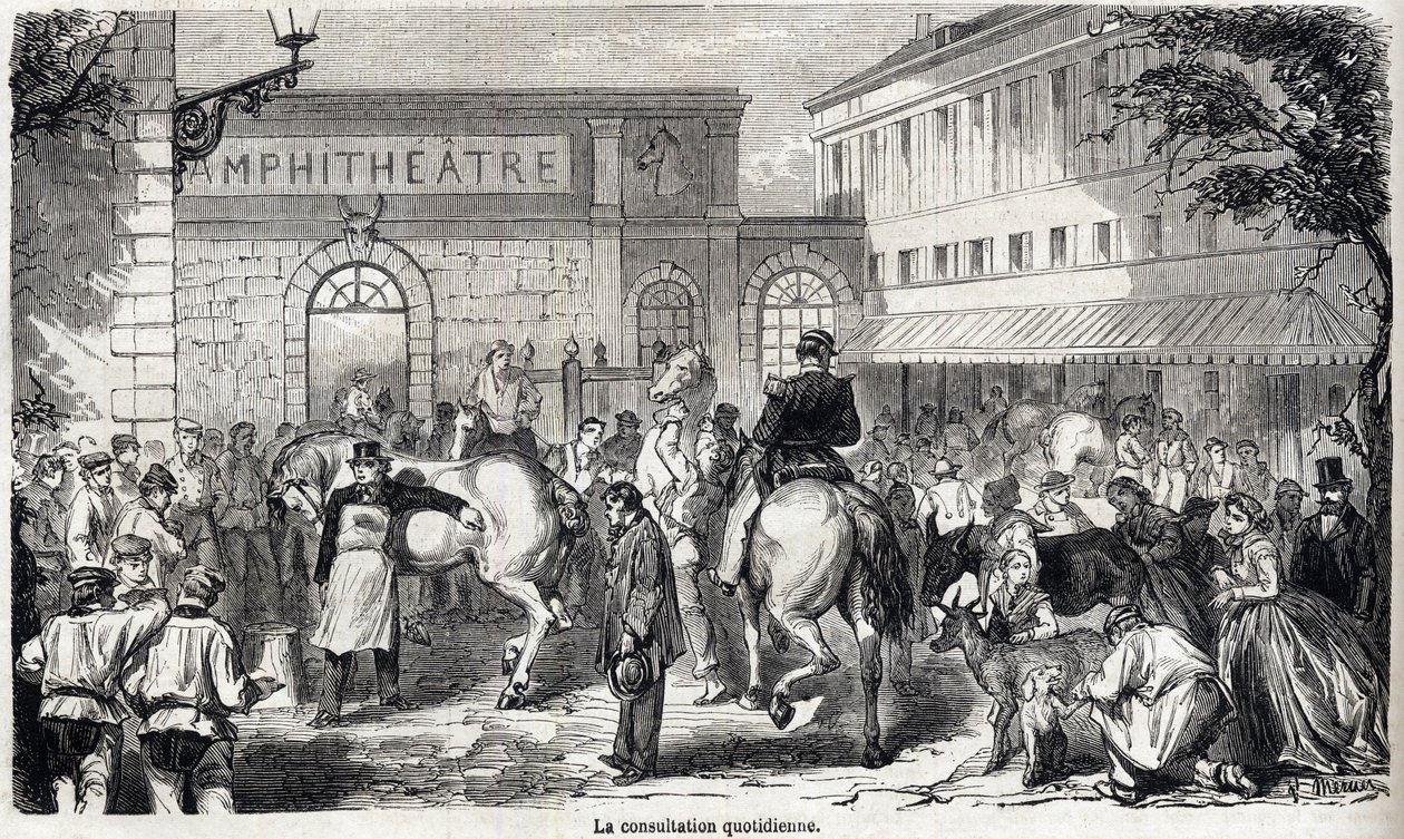 Den nasjonale veterinærskolen i Alfort - Les grandes écoles de France - Veterinærskolen i Maison Alfort i 1866 - Den daglige konsultasjonen - Gravering i "Le monde illustrious"" fra 1866 av French School