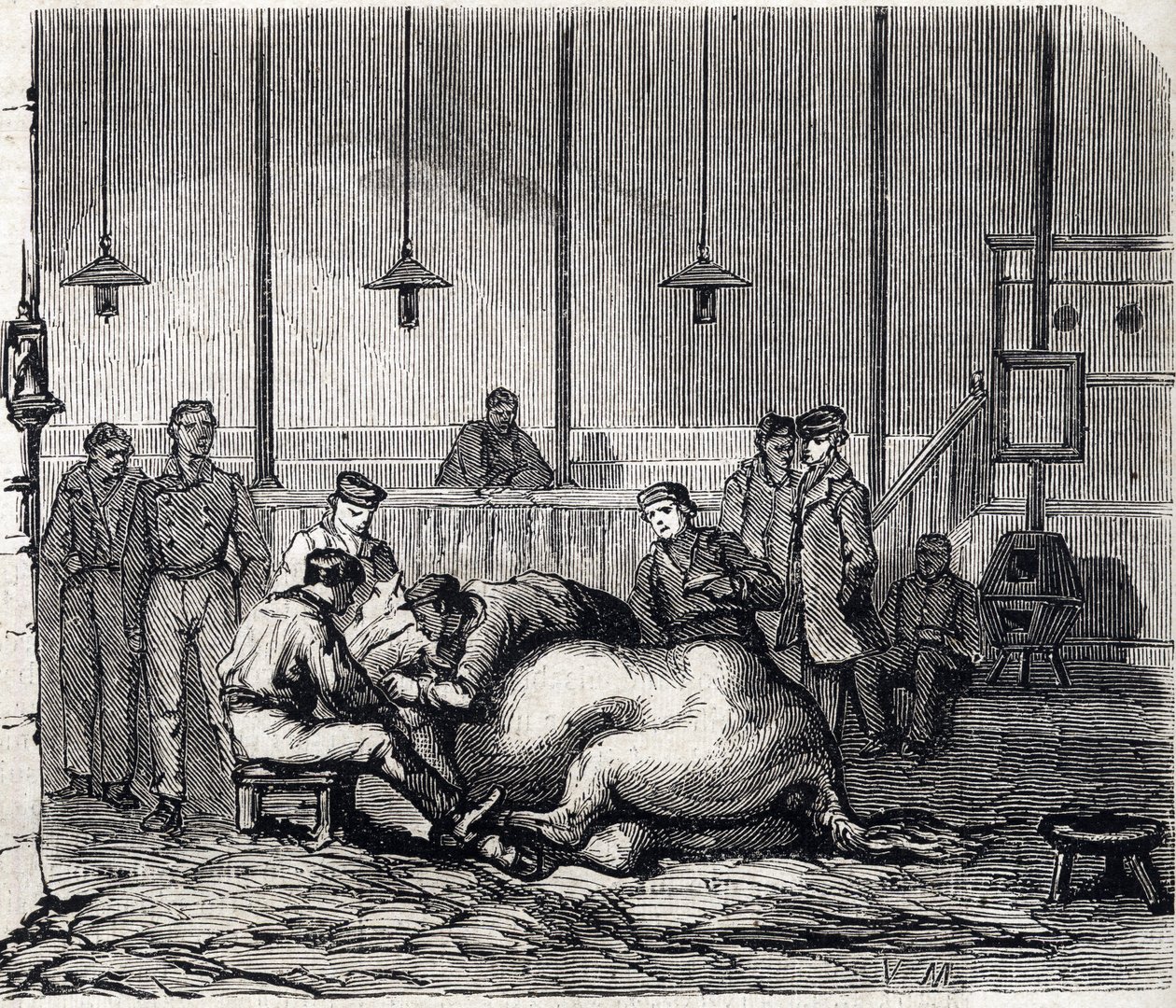Den nasjonale veterinærskolen i Alfort - Les grandes écoles de France - Veterinærskolen i Maison Alfort i 1866 - Disseksjonsrommet - Gravering i "Le monde illustrious"" fra 1866 av French School