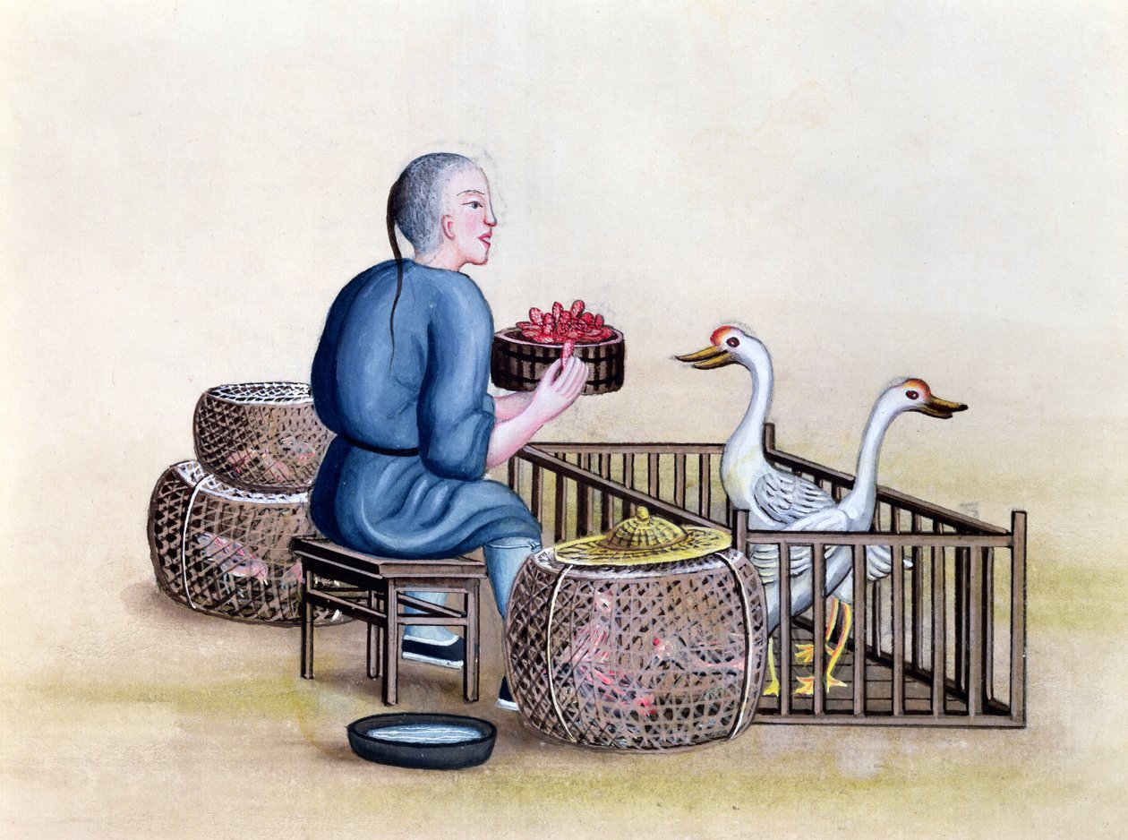 The Poultry Merchant, fra en bok om gaten i Peking, ca. 1785 (wc og gouache på papir) av French School