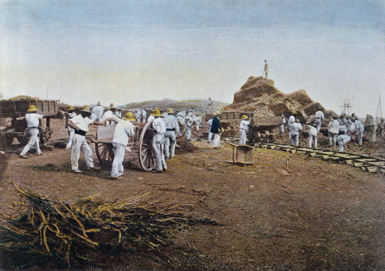 The Prisoners at Work ved Noumea straffekoloni i Ny-Caledonia, gravert av Gillot, ca. 1900 av French School