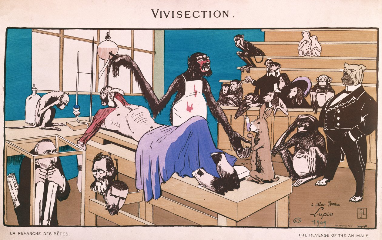 The Revenge of the Animals, karikatur av viviseksjon, 1909 av French School
