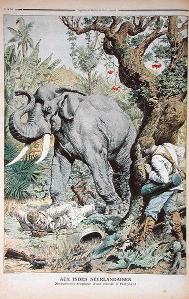 The Tragic End of an Elephant Hunt in India, illustrasjon fra Le Petit Journal, 25. november 1906 av French School