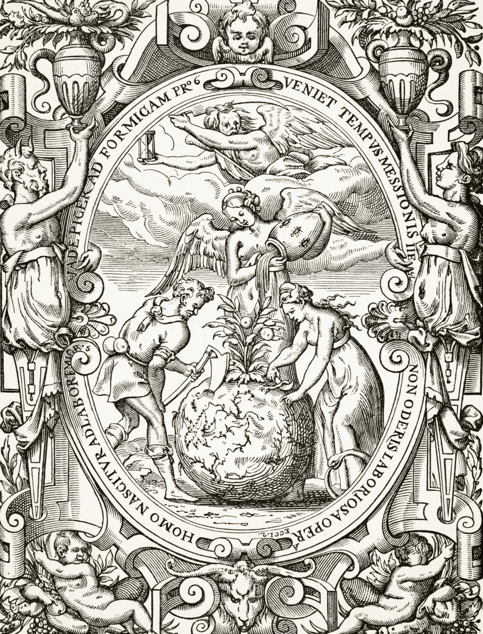 The Vegetable Kingdom, from Science and Literature in the Middle Ages av Paul Lacroix (1806-84) publisert London 1878 av French School
