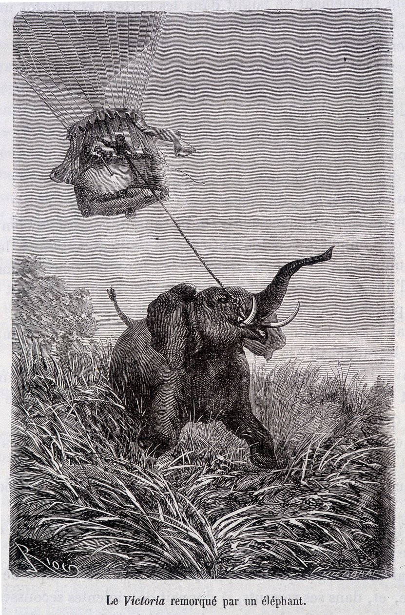 Victoria slept av en elefant - i "Fem uker i ballong", roman av Jules Verne av French School