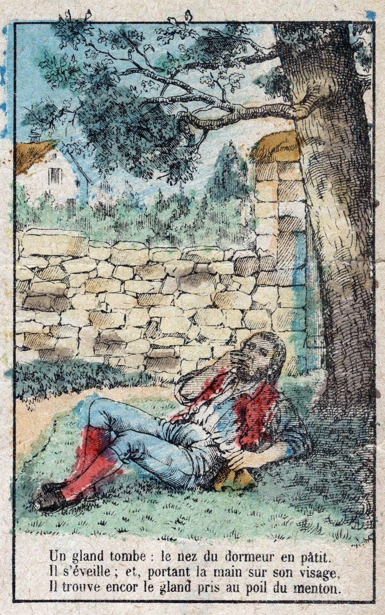 Eikenøtten og gresskaret. Fabler av Jean de La Fontaine (1621-95). Avbildning av Epinal fra slutten av 1800-tallet. av French School