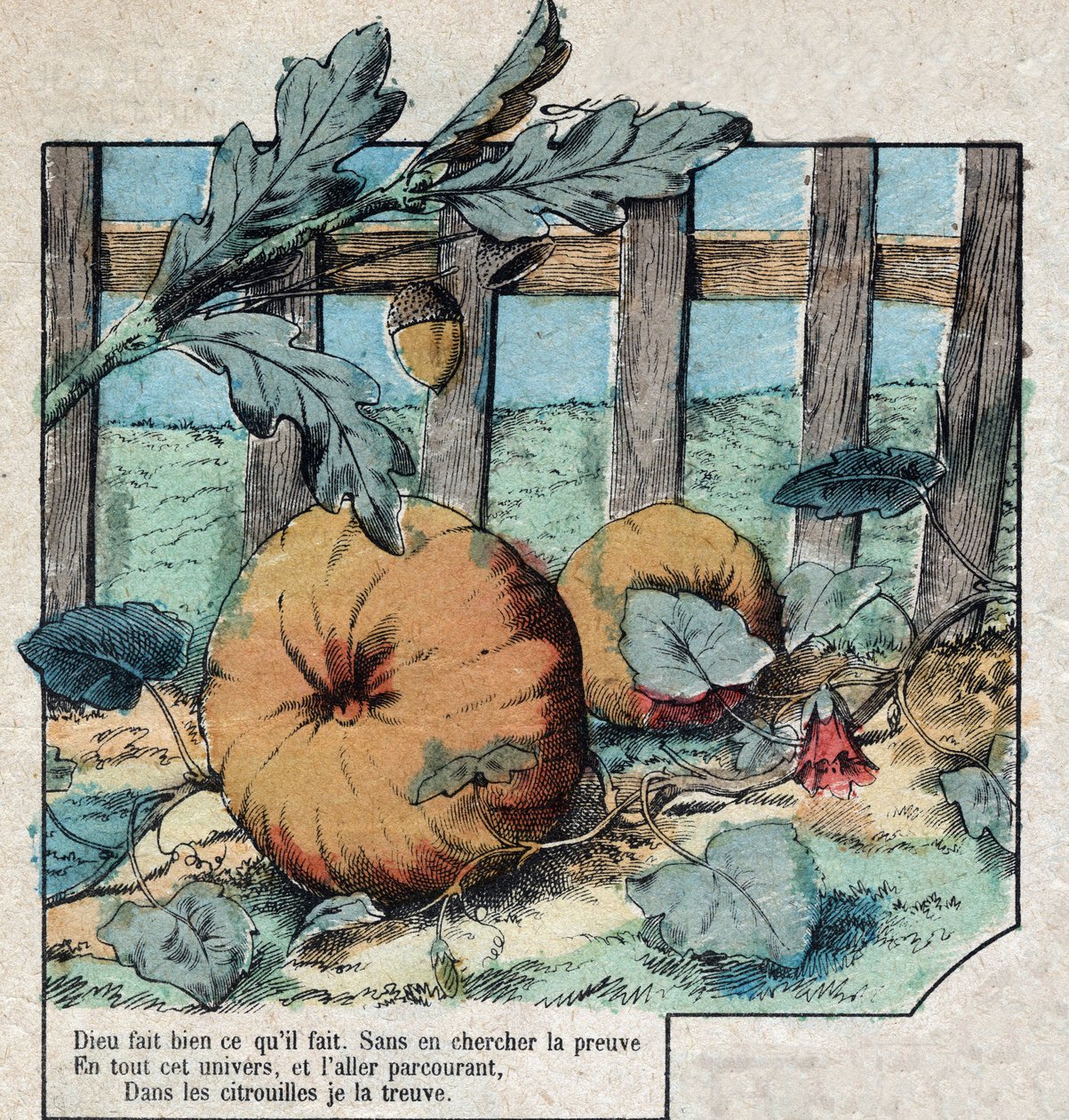 Eikenøtten og gresskaret. Fabler av Jean de La Fontaine (1621-95). Avbildning av Epinal fra slutten av 1800-tallet. av French School