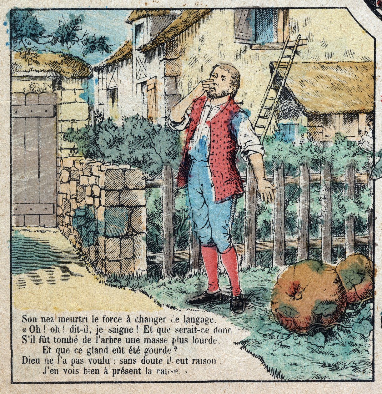 The acorn and the pumpkin. Fables by Jean de La Fontaine (1621-95).Imaging of Epinal from the end of the 19th century. av French School