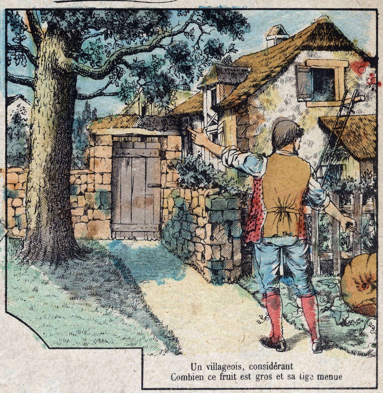 The acorn and the pumpkin. Fables by Jean de La Fontaine (1621-95).Imaging of Epinal from the end of the 19th century. av French School