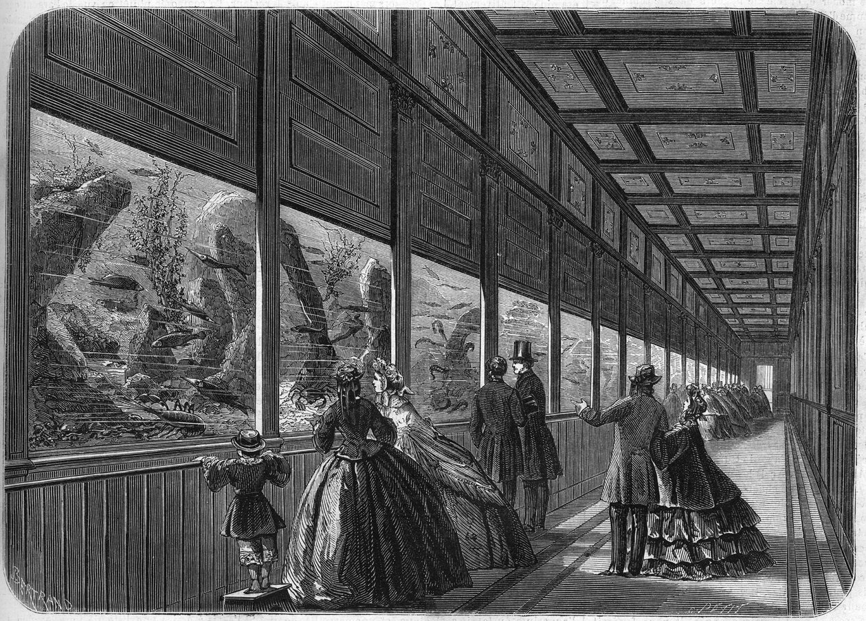 Akvariet til akklimatiseringshagen i Paris i 1863. av French School
