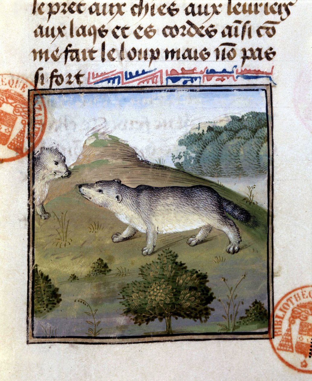 Grevlingen - i "" Hunting Book of Gaston Phoebus, Count of Foix, Lord of Béarn"" av French School