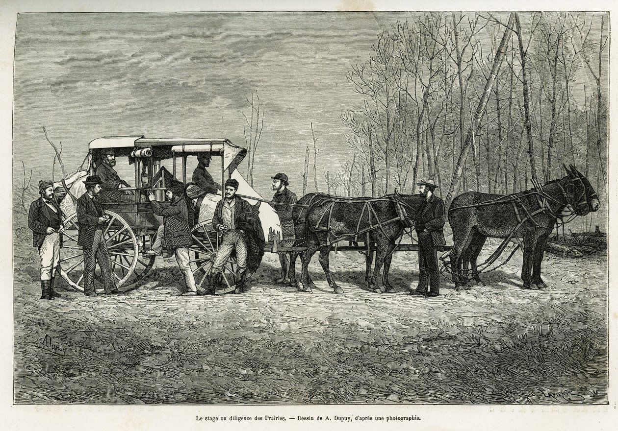 Kurset eller flid på præriens hest, tegning av A.Dupuis, for å illustrere historien om en ekskursjon til Canada og den nordlige røde elven, i 1873, av H. de Lamotte. Gravering i Le tour du monde av French School