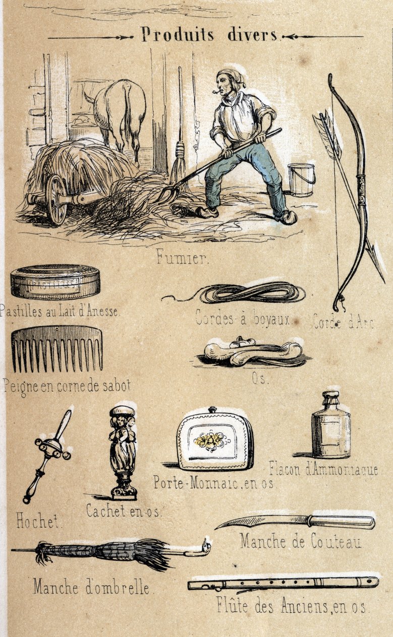 Eselet og dets produkter gravert fra 1860 i "" de lærerike rekreasjonene"" Synoptisk maleri av Jules DELBRUCK. Privat samling. av French School