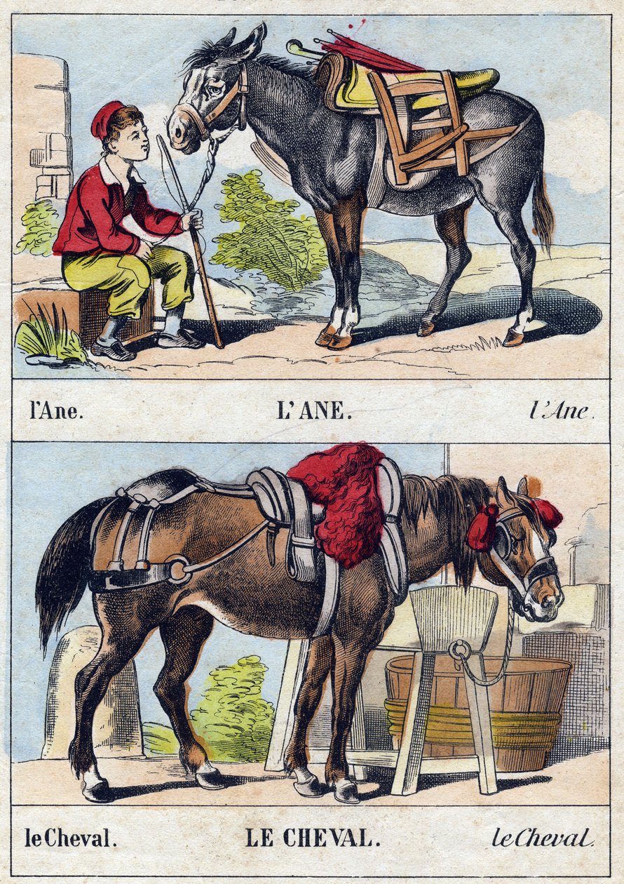 Eselet og hesten. Gravering i "Buffon Alphabet des Animaux". 3. serie N 1. Avbildning av Epinal, Epinal, sent på 1800-tallet. 16 sider. Mål: 28x21cm av French School