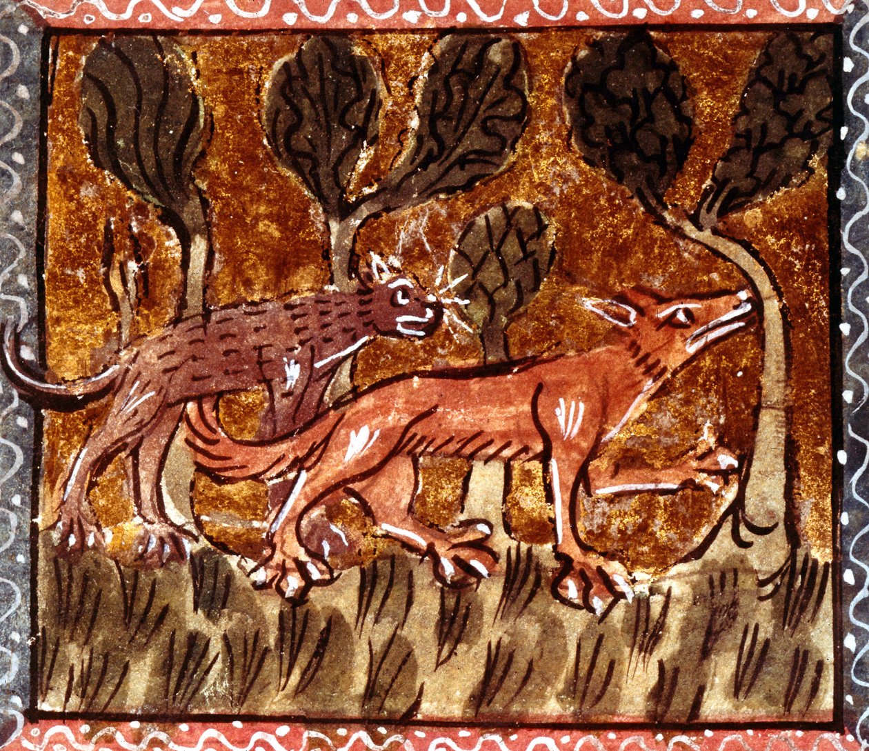 Reven og ulven, belysning fra manuskriptet med tittelen Roman de Renart (Revens roman), ca. 1200-tallet av French School