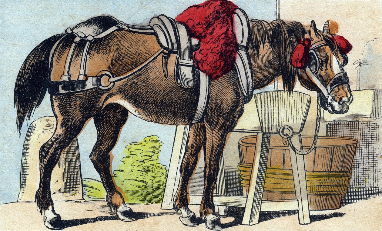 Hesten. Gravering i "Buffon Alphabet des Animaux". 3. serie N 1. Avbildning av Epinal, Epinal, sent på 1800-tallet. 16 sider. Mål: 28x21cm av French School