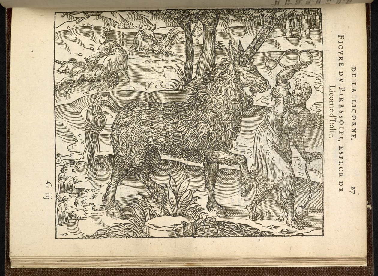 Jakten på en tvillinghornet enhjørning (en pirassoipi.) fra 'Discours d'Ambroise Pare...', Paris 1582 (gravering) av French School