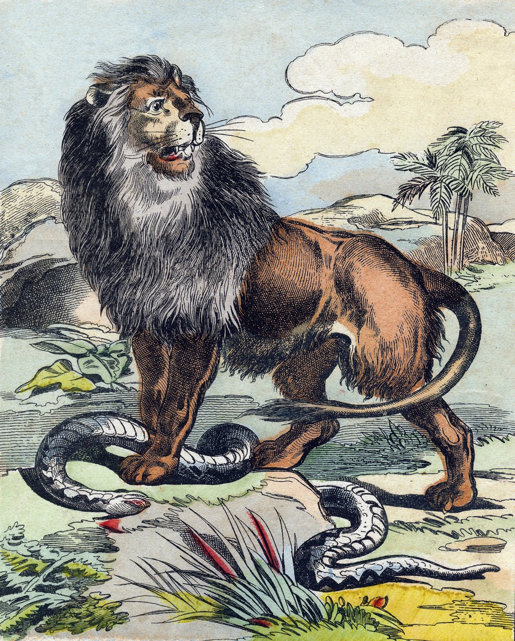 Løven. Gravering i "Buffon Alphabet des Animaux". 3. serie N 1. Avbildning av Epinal, Epinal, sent på 1800-tallet. 16 sider. Mål: 28x21cm av French School