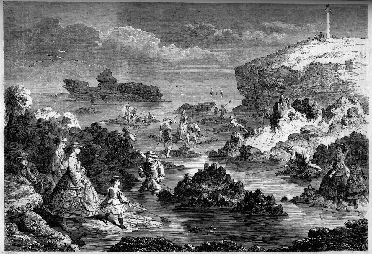 Rekefisket ved Biarritz, Atlantic Pyrenees (64) av French School