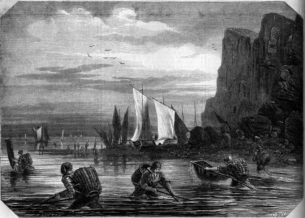 Rekefisket i nærheten av Le Havre, Seine Maritme (76) av French School