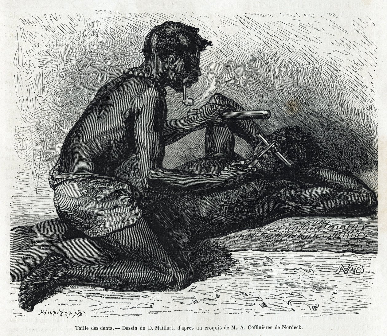 Størrelsen på tennene i Okanda, tegning av D. Maillard, for å illustrere historien om en tur til Gabon og elven Ogoue i 1875-1877, av Alfred Marche. Gravering i Le tour du monde av French School
