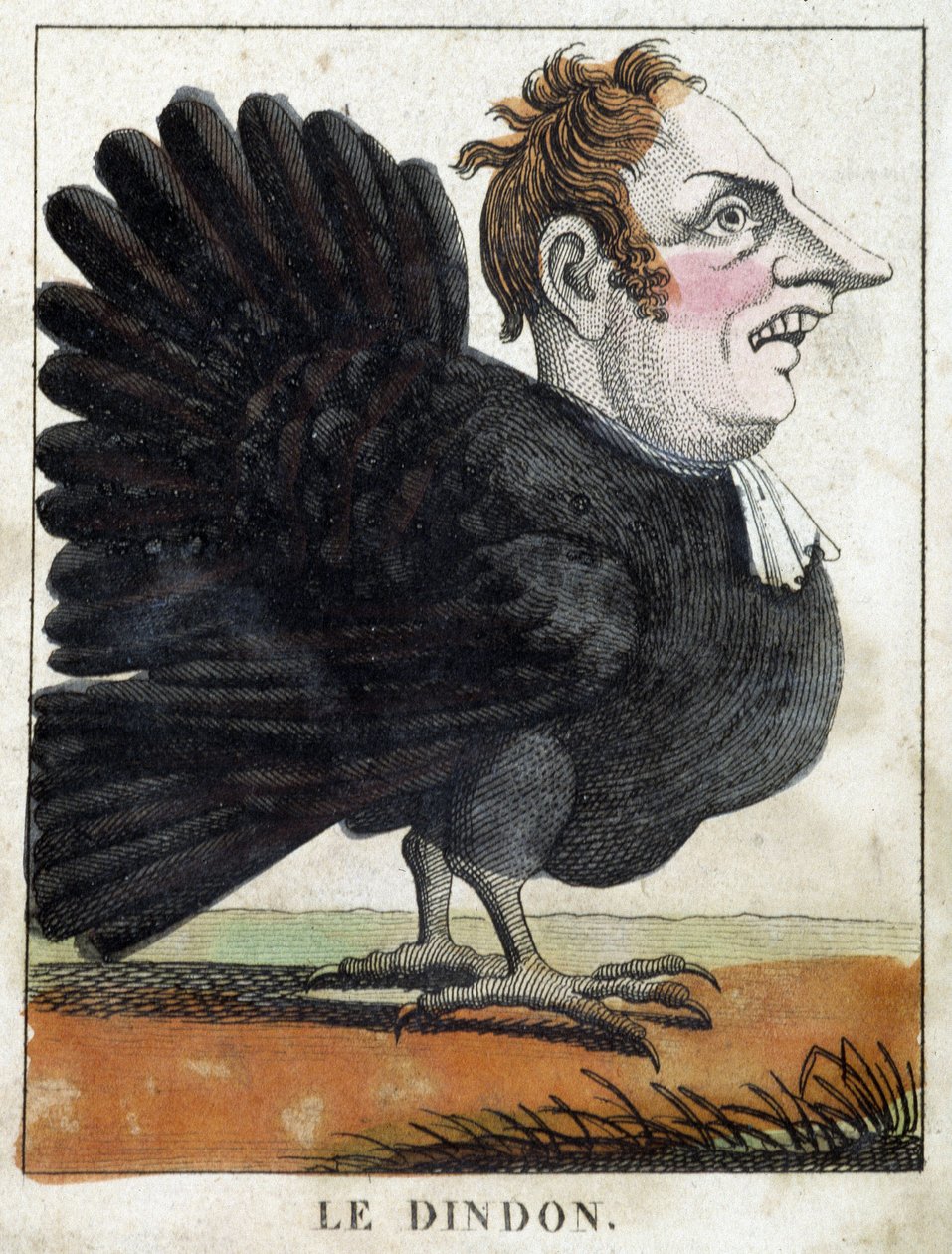 Kalkunen i karikatur, studie av karakter "flyktig karakter" sd. 19., populære bilder. av French School