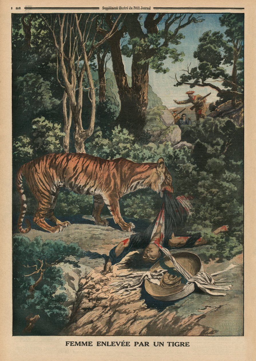 Tiger angriper en kvinne, baksideillustrasjon fra 'Le Petit Journal', bilagsillustre, 15. mars 1914 av French School