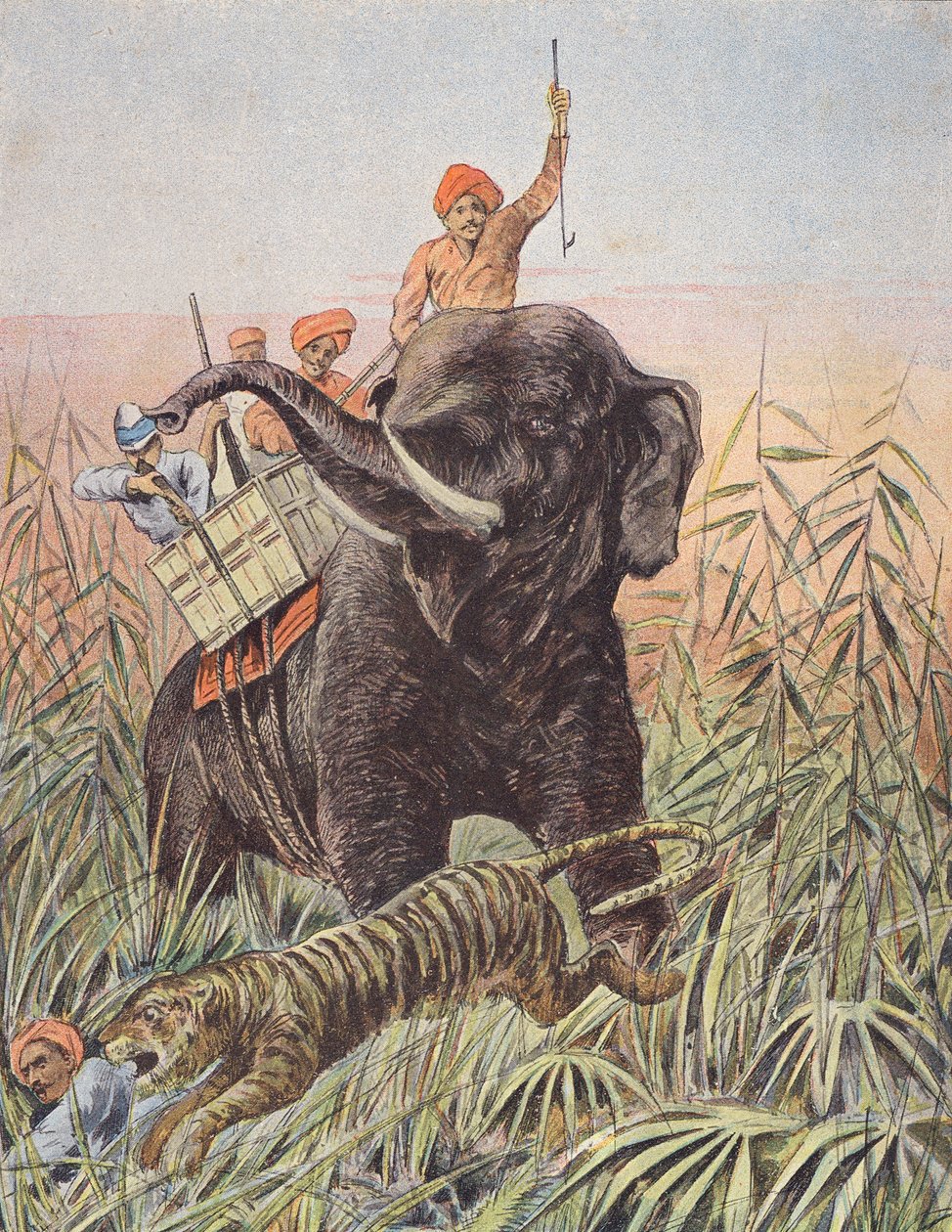 Tigerjakt, India (fargelitografi) av French School