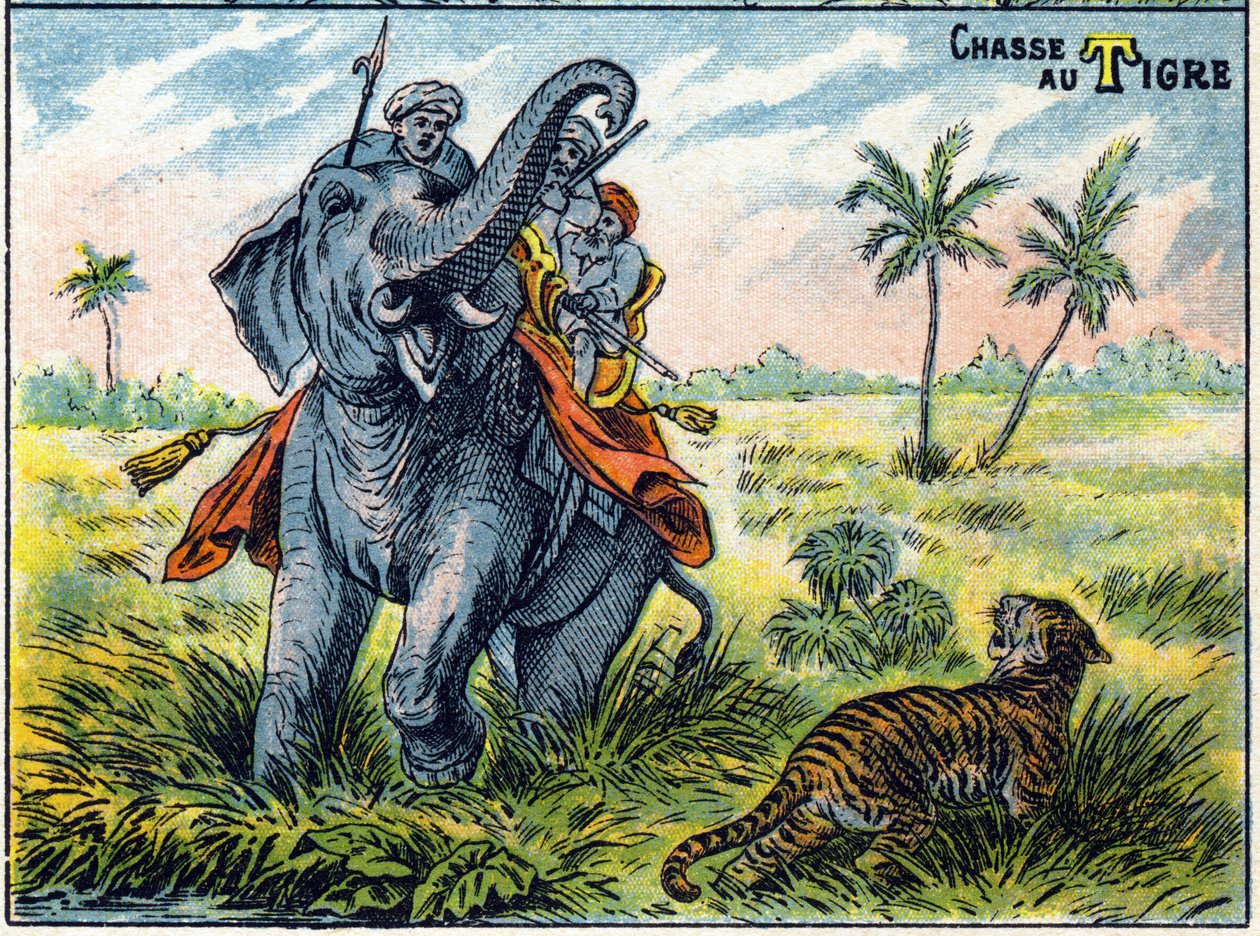 Tigerjaktscene på ryggen til en elefant. Syllabar alfabetet av jakter Imaging av Epinal av French School