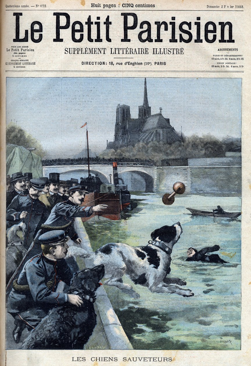 Training of rescue dogs by the police in the Seine in Paris. Engraving in " Le petit Parisien”” av French School